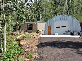 2272 County Road 1, Cripple Creek, CO 80813