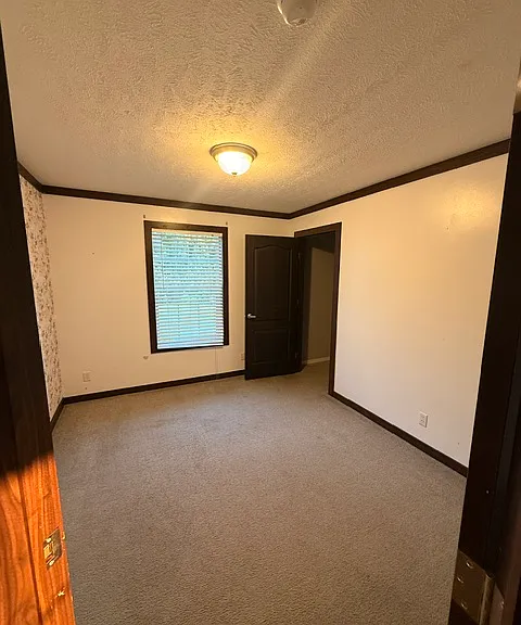 726 Cash Dollar Cove Rd — Photo 15