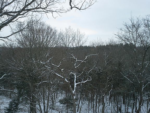 Deck View -LaBarque Hills
