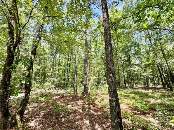 0 County Road 1131, Linden, TX 75563