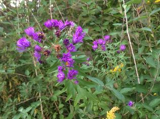 10590 Fall Creek Rd, Indianapolis, IN 46256