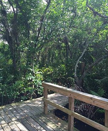5th image of 4497 Little River Ln