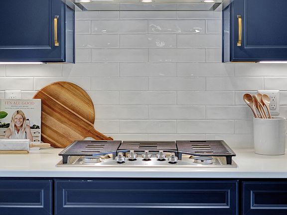 Sophisticated kitchen cabinets
