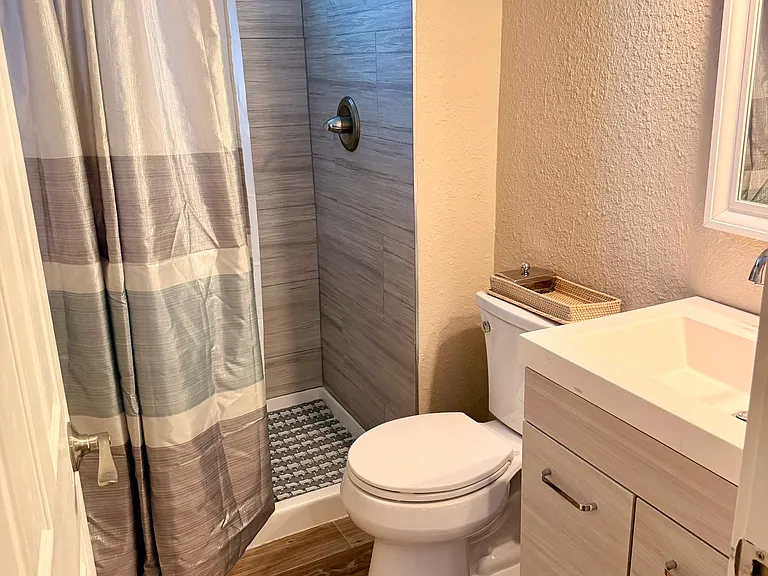 Lower Level Bath
