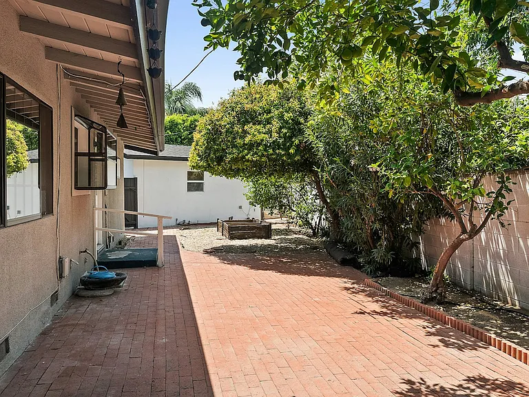 Back yard