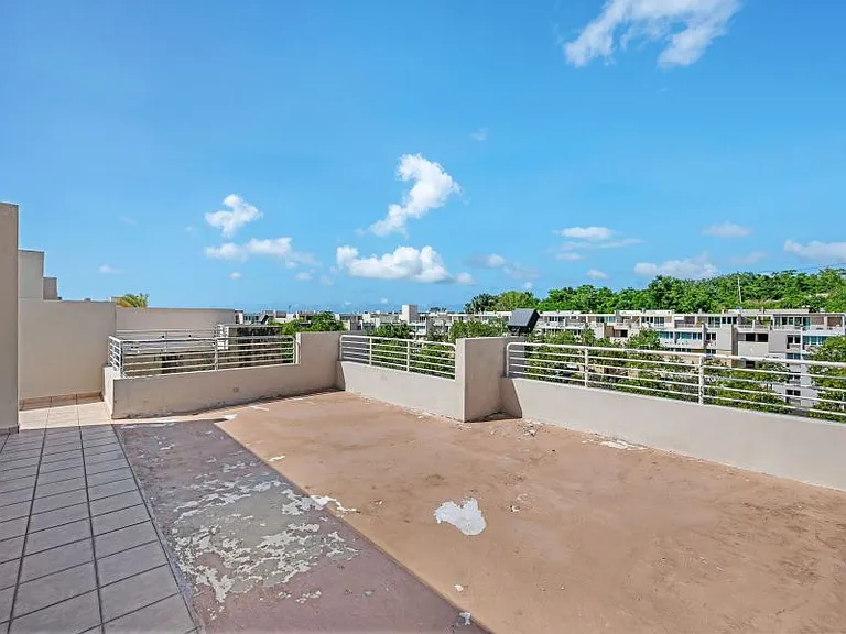 Cond Montecentro Apt L401 Calle Daguao 416 — Photo 36