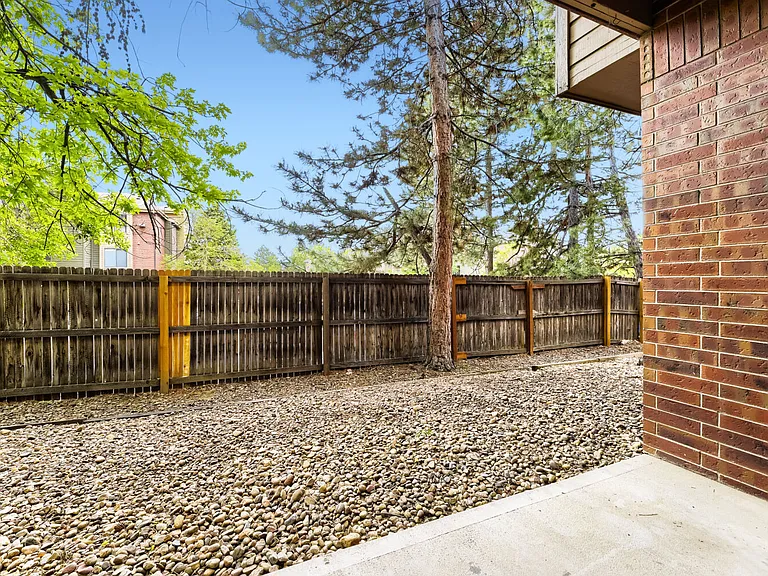 Back Patio / Yard