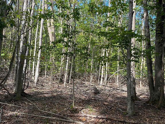 4th image of Lots 156 & 157 Hummingbird Ct Lot 156/57