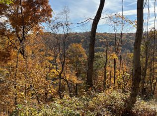 Leith Run Rd, New Matamoras, OH 45767