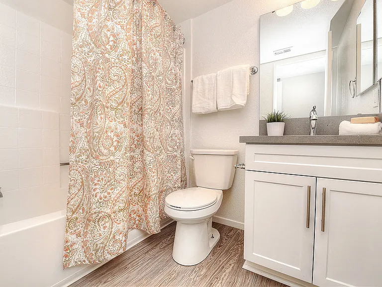 2 Bedroom 2 Bath- Bathroom