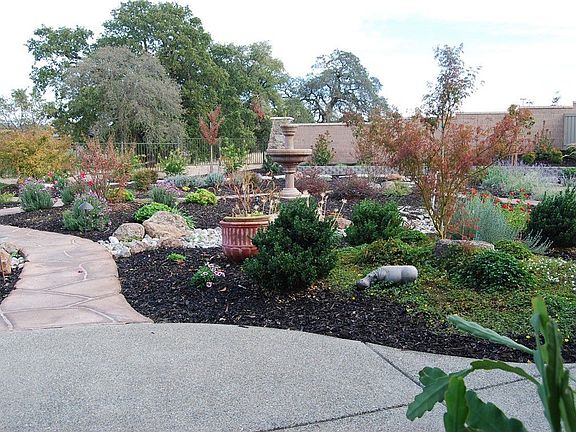 Backyard!