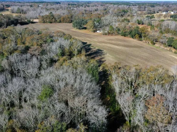 167 Grady Garner Rd, Slocomb, AL 36375