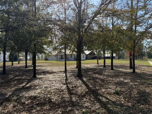 270 NW Edward Perry Ln, Mayo, FL 32066