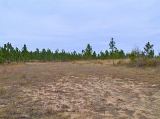 0 Ragtown Rd, Richland, GA 31825