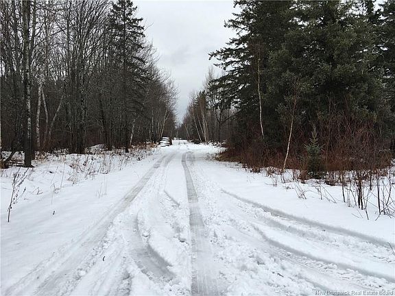 2nd image of 263 McNairn Rd