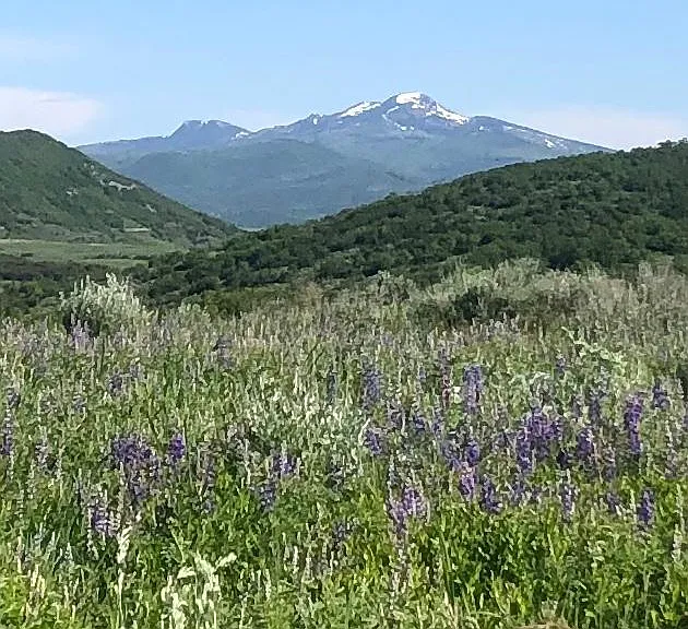 View from Private Trails.
Wide two-person trails on 35 acres.