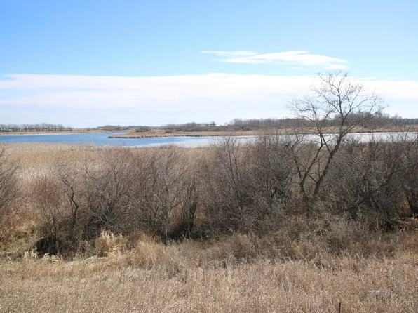 135th St, Villard, MN 56385