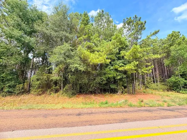 (undisclosed Address), San Augustine, TX 75972