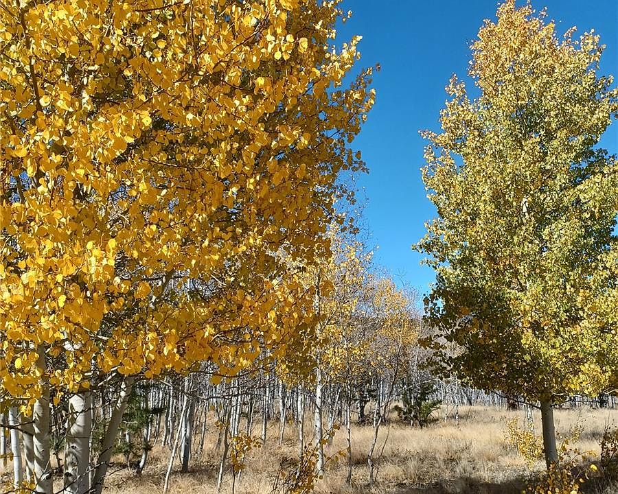 1st image of 600 Oxen Court LOT 1006