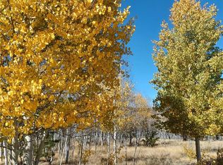 600 Oxen Ct #1006, Hartsel, CO 80449