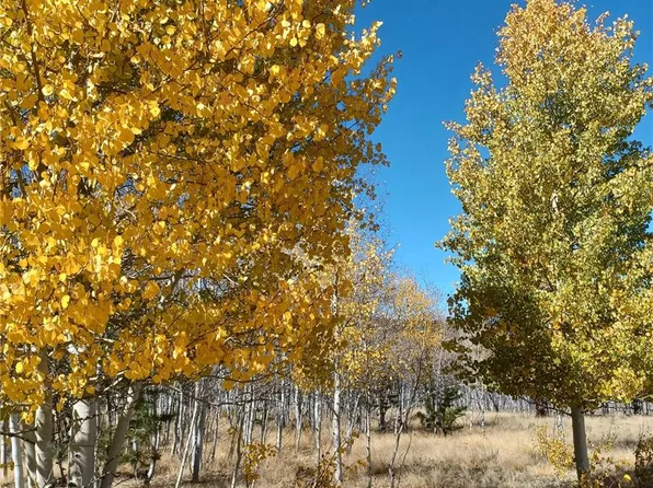 600 Oxen Court LOT 1006, Hartsel, CO 80449