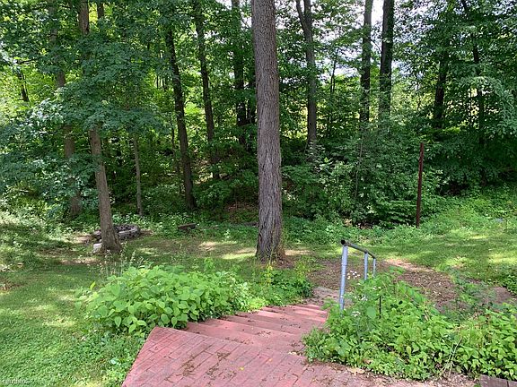 Backyard (2)