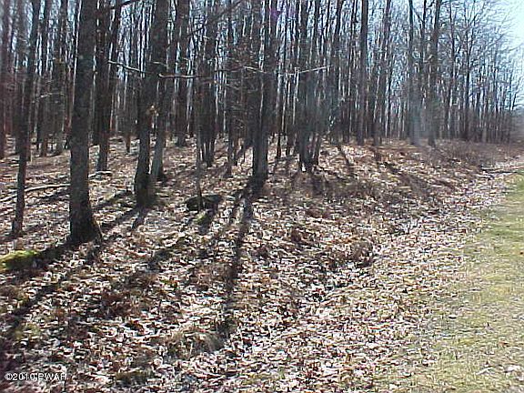 3rd image of 24 Fern Dr