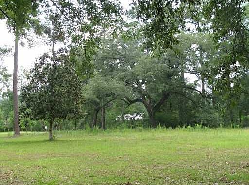 2nd image of 39175 Red Rooster Rd