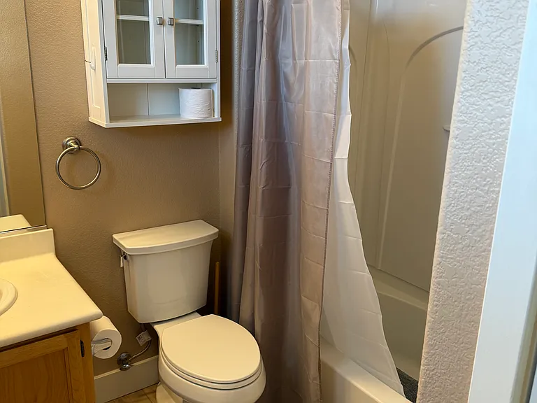 Toilet, and shower with brand new, shower curtains, and new bath mats