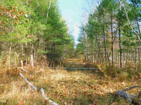 Mayer Ln #4, Suring, WI 54174