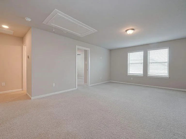 29310 Sweet Orange Ct — Photo 13