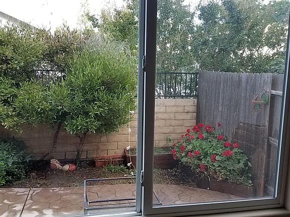 Backyard from Dining Room