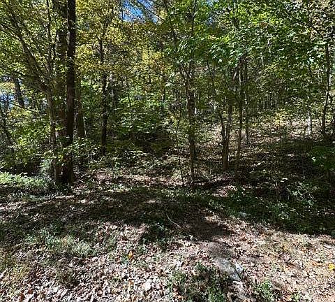 3rd image of 1 & 2 Anderson Bend Rd