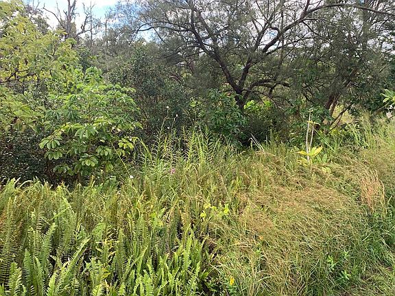 4th image of W Pohakupele Loop Lot 128