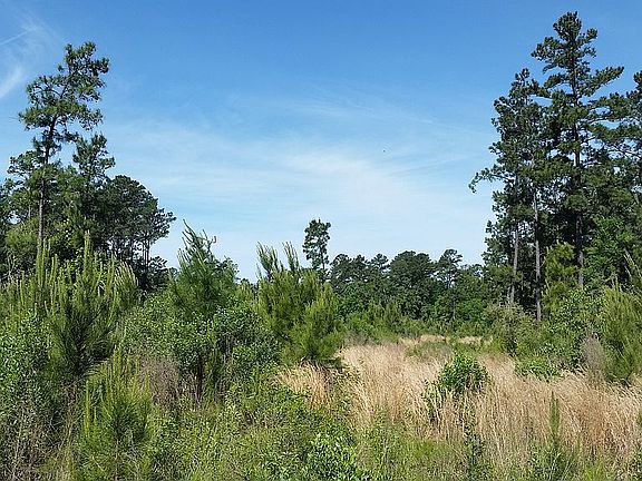 1886 FM247, Huntsville, TX