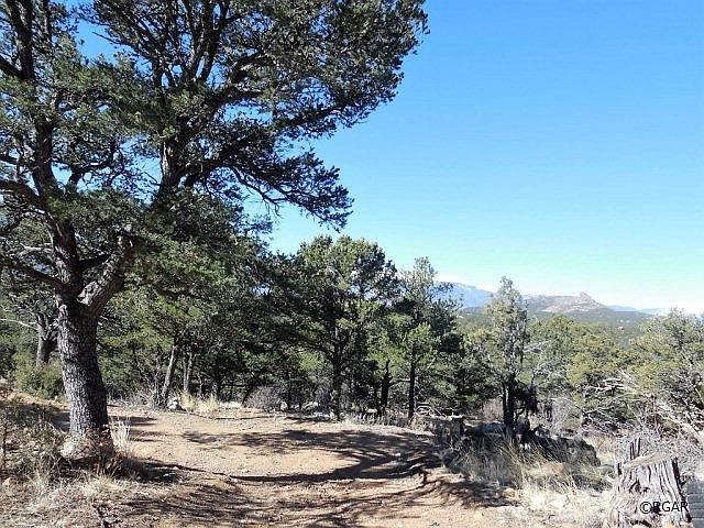 1st image of Tbd Texas Creek Ln