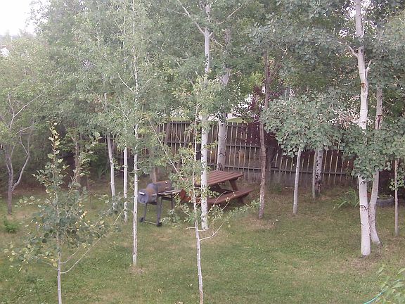 private yard
