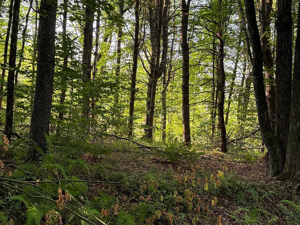 2nd image of 344 Dickinson Hill Road