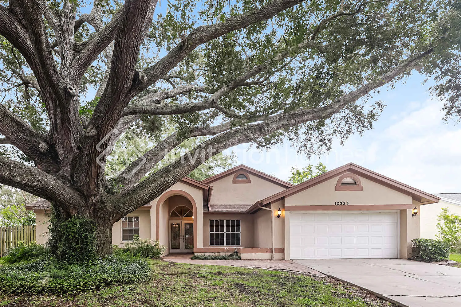 10323 Ashley Oaks Dr Riverview, FL 33578 — Photo 1