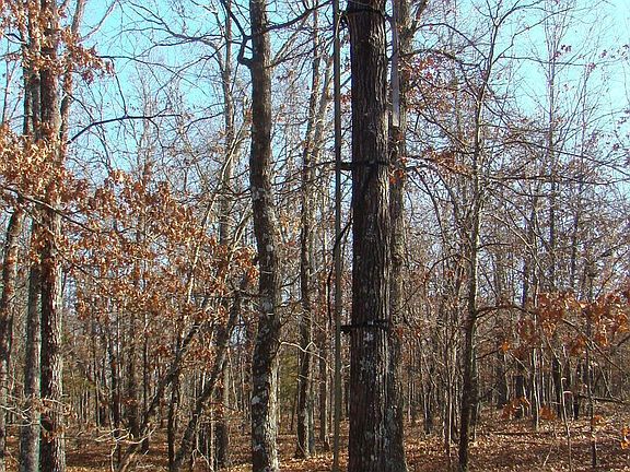 3rd image of 3480 Bethel Drive