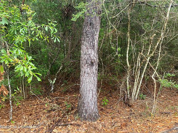 5th image of 21205 S Fork Rd