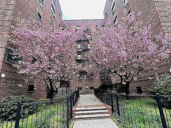 2nd image of 44-21 Macnish St Unit 2