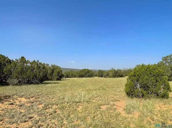 90 County Road B29a, Ribera, NM 87560