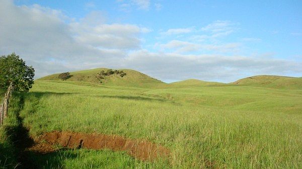 1st image of Old Mamalahoa Hwy