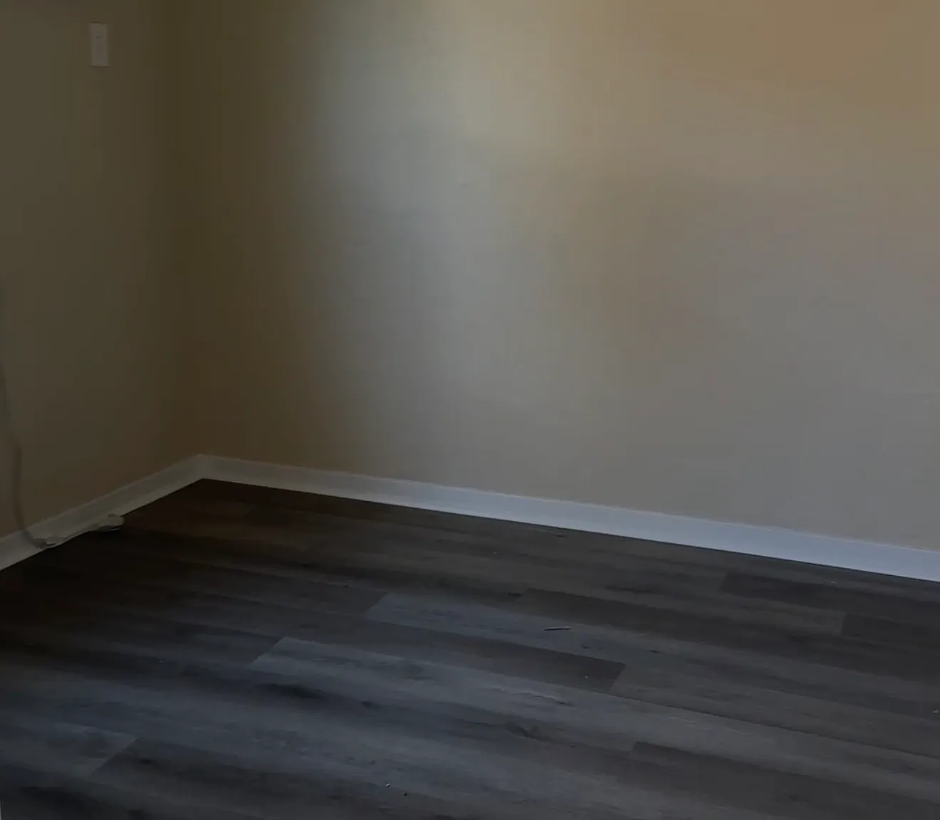 1 bed, 800 sqft, $1,000 — Photo 3