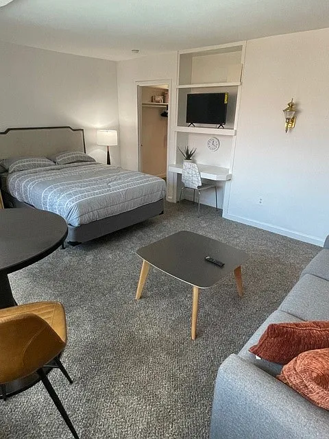 Studio, 401 sqft, $2,100 — Photo 2