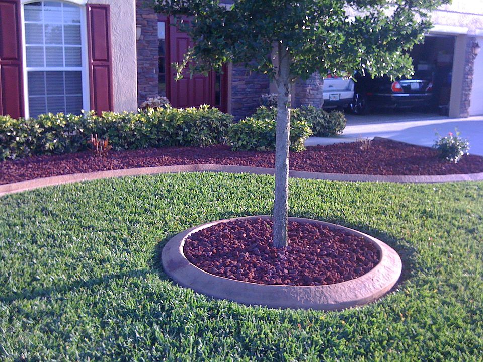 2nd image of 341 Meredith Way