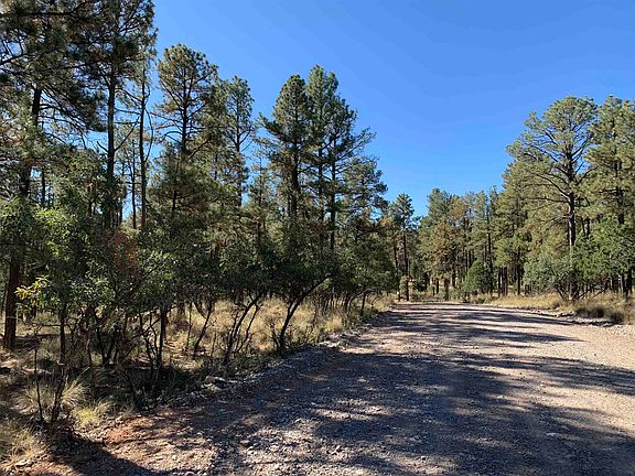 3rd image of Dixwood Dr #8