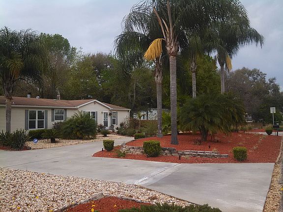 Mature Landscape & palms