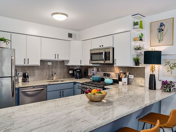 3rd image of 1000 N Lake Shore Dr APT 503